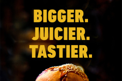 2x3ft Pitapit & ghoomer