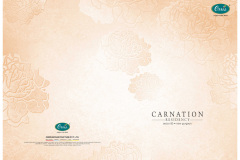 brochure-A4-Page-1
