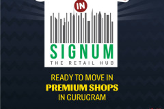 Summer Carnival in signum