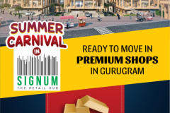 Summer Carnival in signum