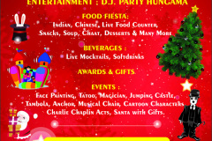 christmas-ad-12-cm-x-20-cm_ctc_vertical_CTC