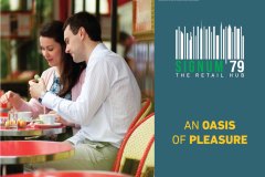 Fence Panel 10x8ft Signum 79_CTC